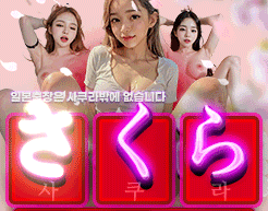 [인천권-사쿠라]⭐️한국 일본 프리미엄 출장⭐️극강마인드⭐️하드코어⭐️❤️내상ZERO️️...